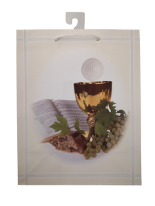 DARILNA VREČKA A4 (OBHAJILO)