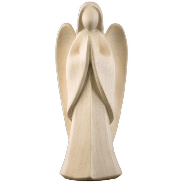 Angel leseni (52/35)