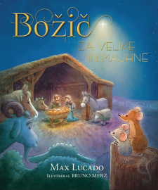 Božič za velike in majhne (mehka vezava)
