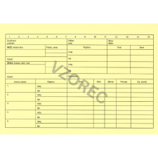 Družinska kartoteka