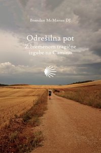 Odrešilna pot